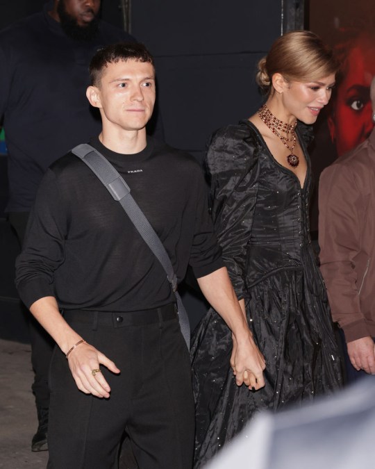 Tom Holland and Zendaya 