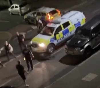 Stills from footage show police crowded around the cow, pinned down by the four-by-four, which has been called 'heavy handed'