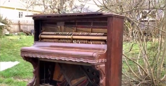 A grand piano fell on the 28-year-old woman