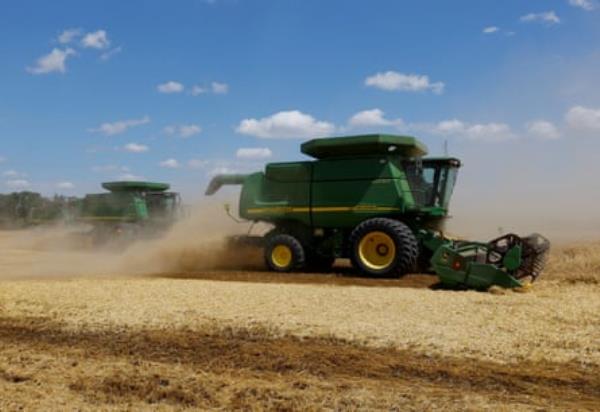 A July wheat harvest in the Russian-co<em></em>ntrolled Do<em></em>netsk region.