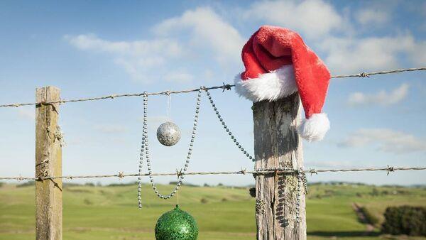 Denis Lehane: Santa Claus has received his Single Farm Payment