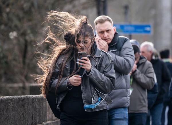 Things have been getting rather windswept around these parts (stock)