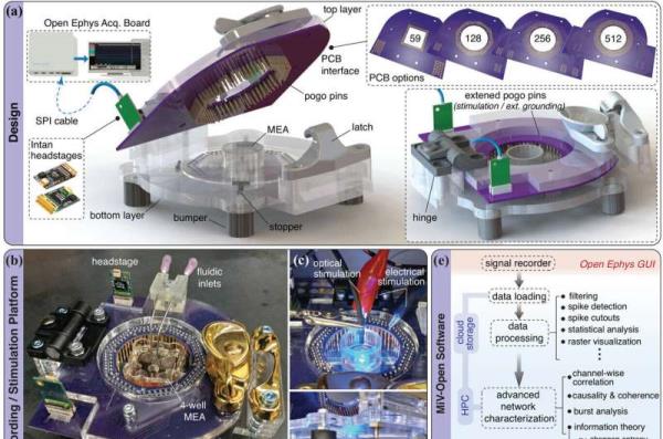 Researchers design new open-source technology for interfacing with living neurons