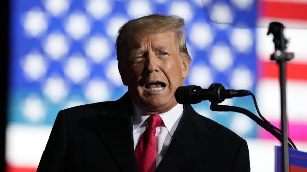 Do<em></em>nald Trump speaking in to microphone, US flag in background