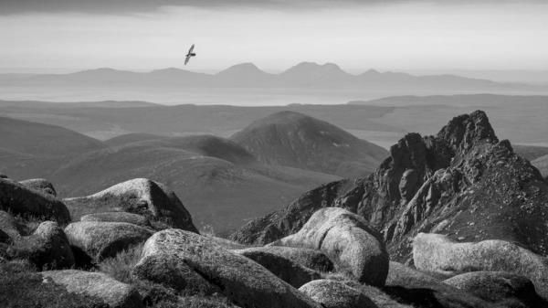 Winner - Black and White.</p>

<p>　　“Raven Above Arran”  Raven. Isle of Arran, Scotland. Pic: Robin Dodd/BWPA