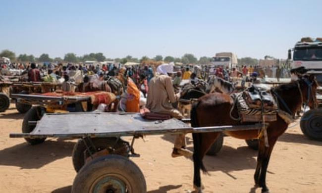 Rows of do<em></em>nkeys with carts and crowds of people wait next to food aid trucks