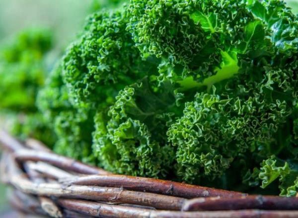 fresh basket of kale