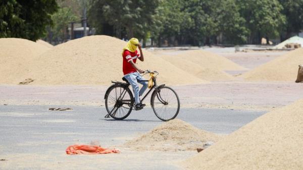 A man rides his cycle on a hot summer day during a heatwave in Narela, New Delhi, on Wednesday. Pic: Reuters</p>

<p>　　