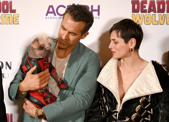 Ryan Reynolds, holding Peggy the dog, and Emma Corin pose on red carpet at Deadpool & Wolverine film sneak peek event in London