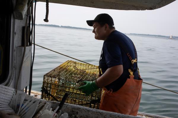 Lobster fishers sue to block closure meant to aid whales.