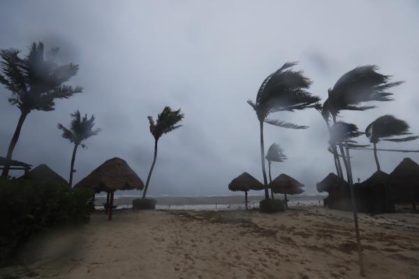 Palm trees are buffeted by the winds of Hurricane Grace in Playa del Carmen, Quintana Roo state, Mexico, Thursday, Aug. 19, 2021.