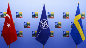 Swede planning to burn NATO treaty – media