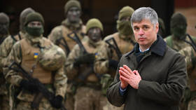 UK co<em></em>ntemplating sending troops to Ukraine – ex-ambassador