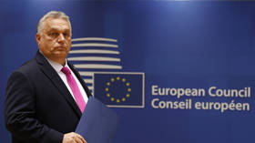 EU must reco<em></em>nsider Ukraine policy – member state