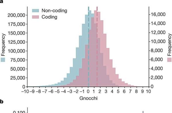 Large-scale DNA sequence resource reveals new regions of the human genome under natural selection