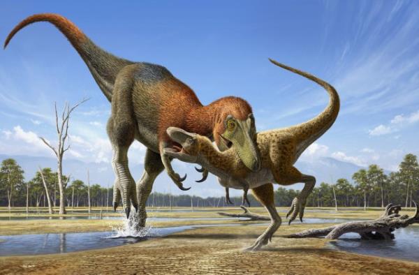 The Nanotyrannus