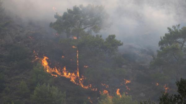 A wildfire burns in a forest near Lardos, on the island of Rhodes, Greece, July 22, 2023. REUTERS/Vassilis Ikoutas</p>

<p>　　