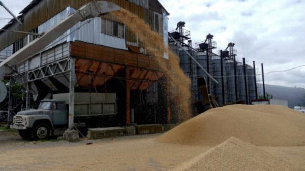 FILE PHOTO: A truck is seen at a grain terminal during barley harvesting in Ukraine on June 23, 2022. REUTERS/Igor Tkachenko//File Photo