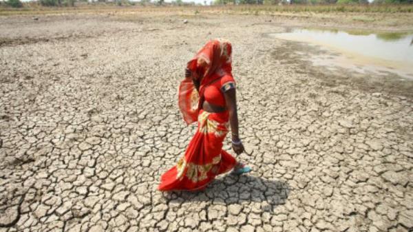 A woman walks across a dried pond in Mauharia village in Uttar Pradesh during India's record-breaking heatwave in early May 2022. Photo: Reuters