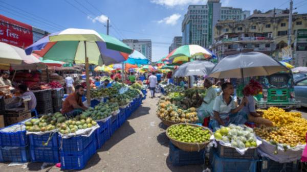 According to DNCC, there are 1,804 shops under their jurisdiction, including the wholesale vegetable markets in the Karwan Bazar area. It wants to relocate all of them. Photo: Noor-A-Alam