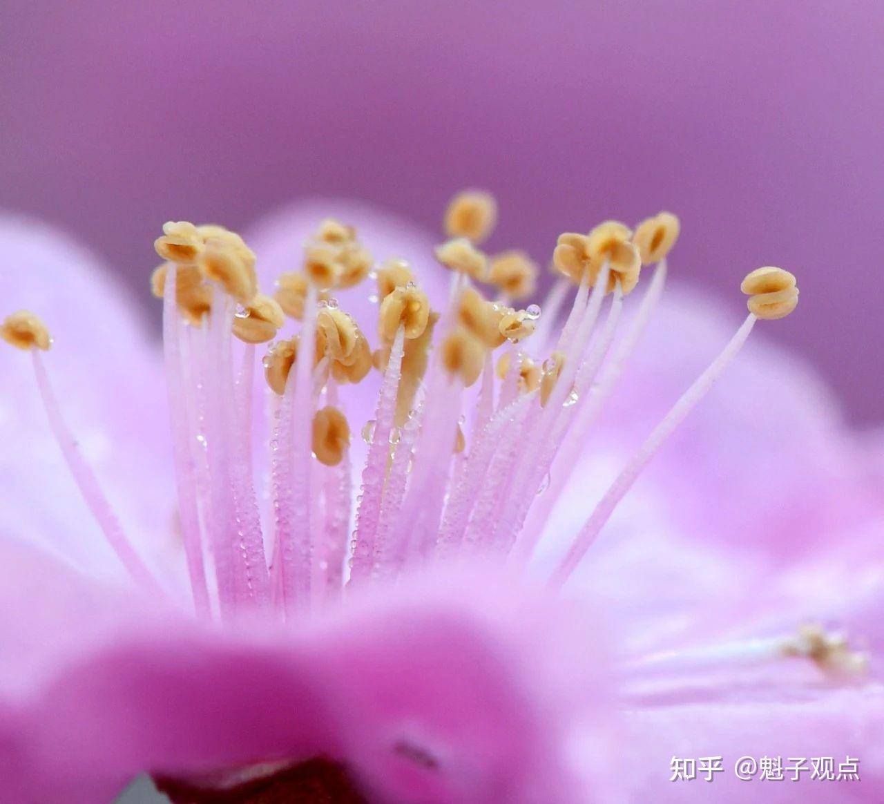 印花税在股票的哪个环节征收_现在股票交易印花税是多少_印花税股票买卖