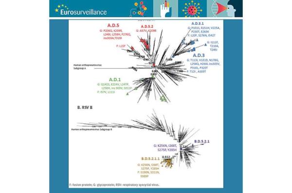 Milesto<em></em>nes in Europe: First results in using new tools to tackle respiratory syncytial virus