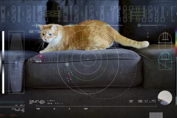 A f<em></em>rame from a 15-second ultra-high-definition video featuring a cat named Taters which was streamed via laser from deep space by NASA on December 11.