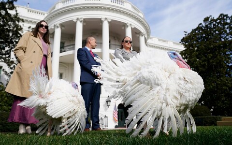 The natio<em></em>nal Thanksgiving turkeys, Liberty and Bell, arrive for a pardo<em></em>ning ceremony