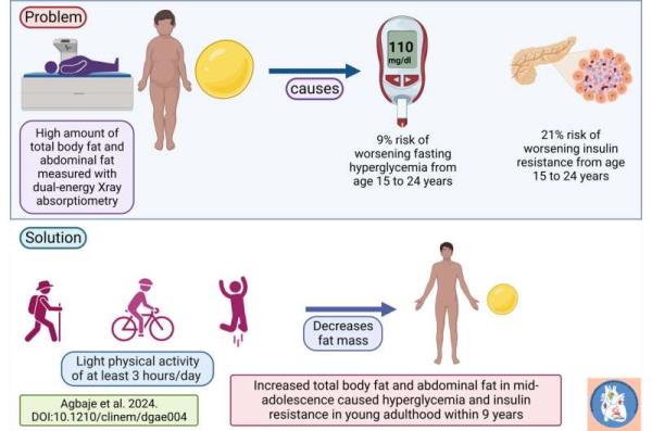 Increased body and abdominal fat cause insulin resistance in teenagers, raising type 2 diabetes risk later