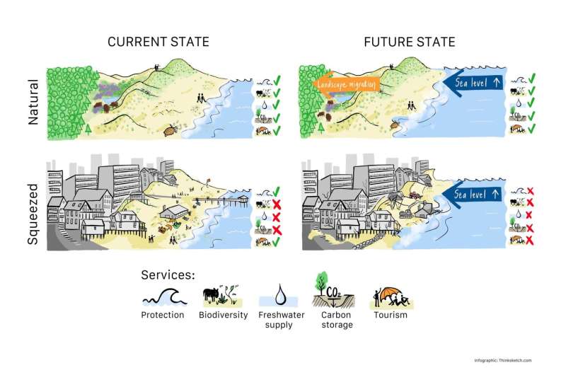 Beaches and dunes globally squeezed by roads and buildings