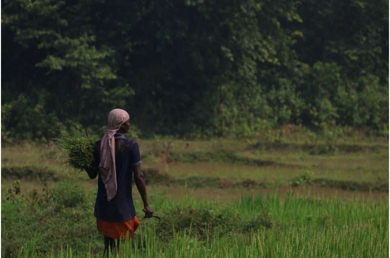 farming africa