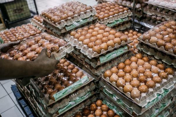 Govt to lift price controls on chicken and eggs to allow market to move freely, says deputy minister