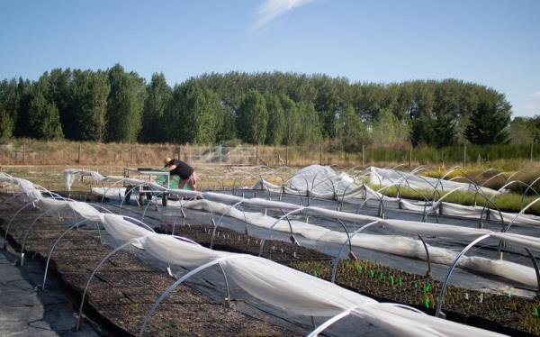 Mandy putting seed trays out to germinate