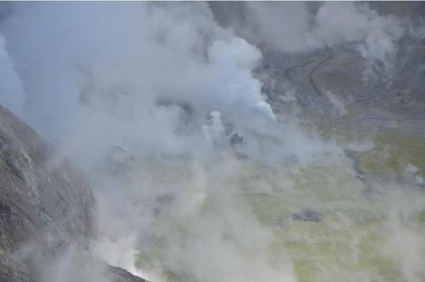 Aerial view of Whakaari / White Island on 24 May, 2024, showing thin, green ash deposits.