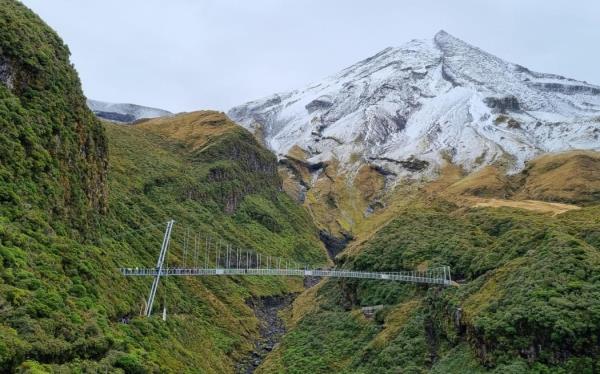 The Manganui Gorge Bridge.