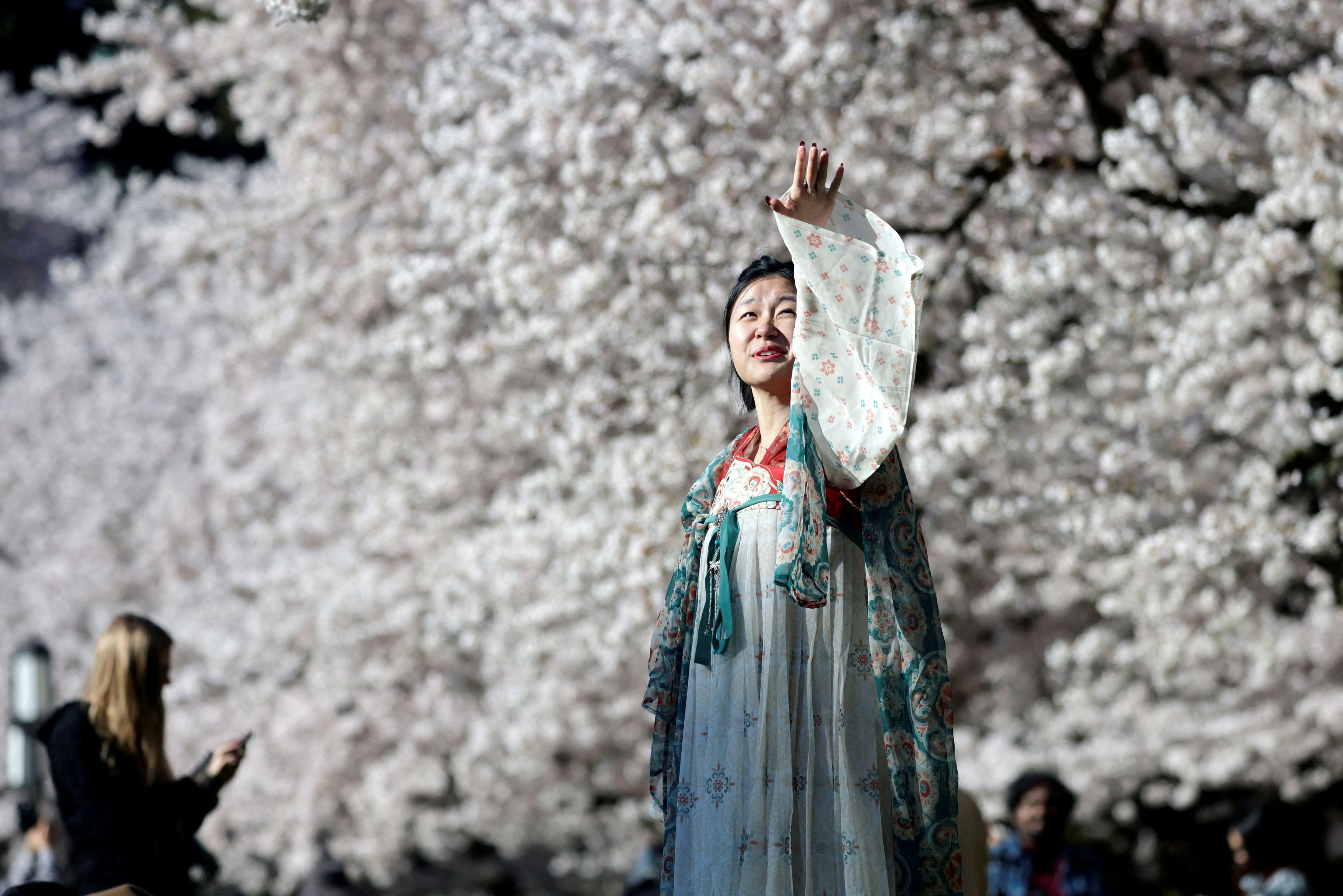 Lucy Chin, 25, poses for a photograph in front of cherry blossom trees at The Quad on the University of Washington campus in Seattle, Washington, U.S., March 19, 2024. 