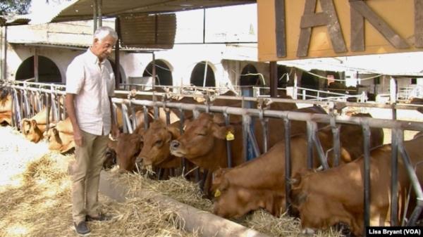 Karim Daoud is moving away from raising milk cows to goats and sheep, which co<em></em>nsume less water on his family's farm on the outskirts of Tunis, Tunisia.