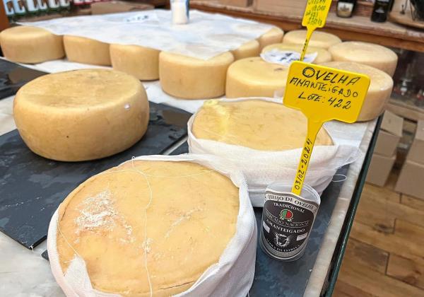 Wheels of traditio<em></em>nal sheep cheese from the Serra da Estrela region of Portugal being sold in Belmonte. 