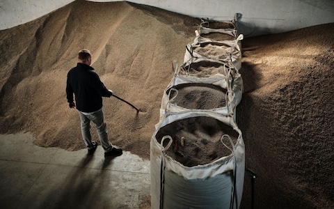 A farmer and member of the AgroUnia unio<em></em>n moves rye grain stores on a farm in Sedziejowo, Poland