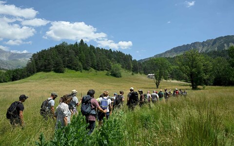 Volunteers helped with the search in searing temperatures