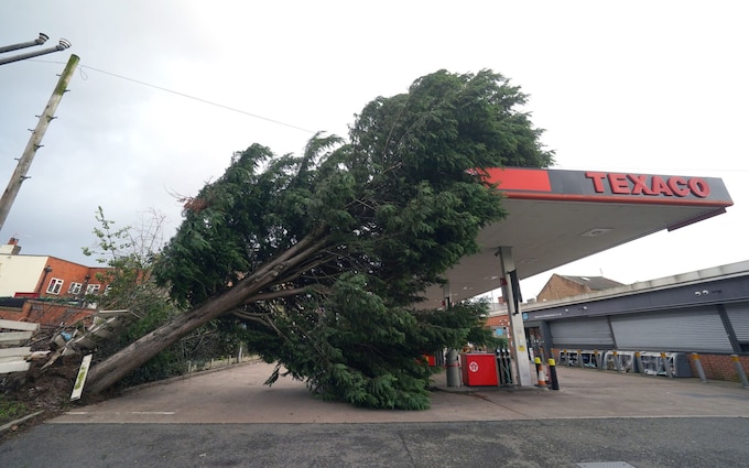 Storm Pia caused a tree to fall o<em></em>nto a petrol station in Derby