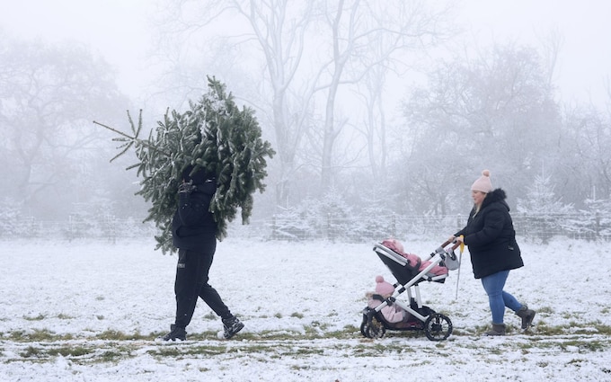 A father carries a Christmas tree across a snow-covered field with his partner and their two children after cutting it down at Mill Farm  in Bodshamm Kent