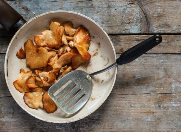 cooked oyster mushrooms