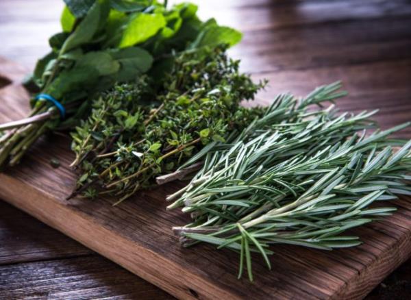 fresh herbs on wooden board