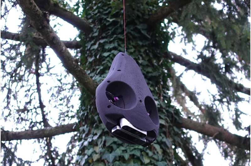 Robot swings its way to unexplored treetops