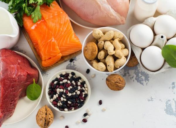 high-protein foods, co<em></em>ncept of the best protein for weight loss