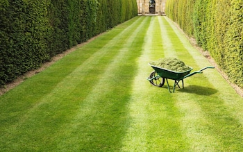 Neat lawns make a space look bigger, Mo<em></em>nty Don says