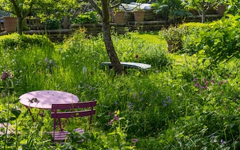 The 'No Mow May' movement has advocated leaving grass and wildflowers uncut in the spring