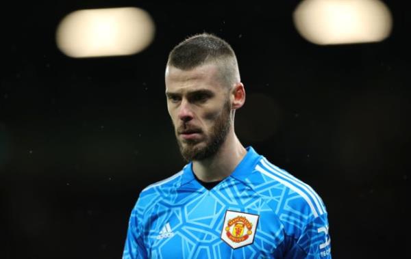 Manchester United goalkeeper David de Gea