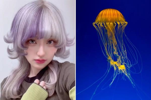 side by side image of a jellyfish and a woman with a jellyfish hair cut